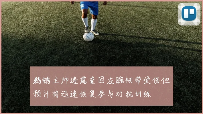 鹈鹕主帅透露奎因左腕韧带受伤但预计将迅速恢复参与对抗训练