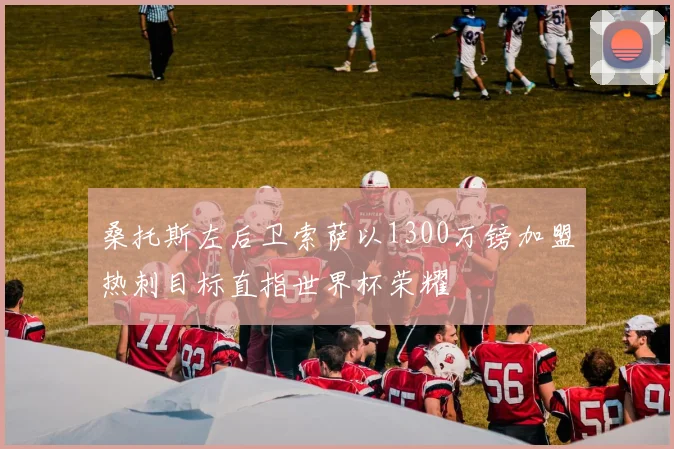 桑托斯左后卫索萨以1300万镑加盟热刺目标直指世界杯荣耀