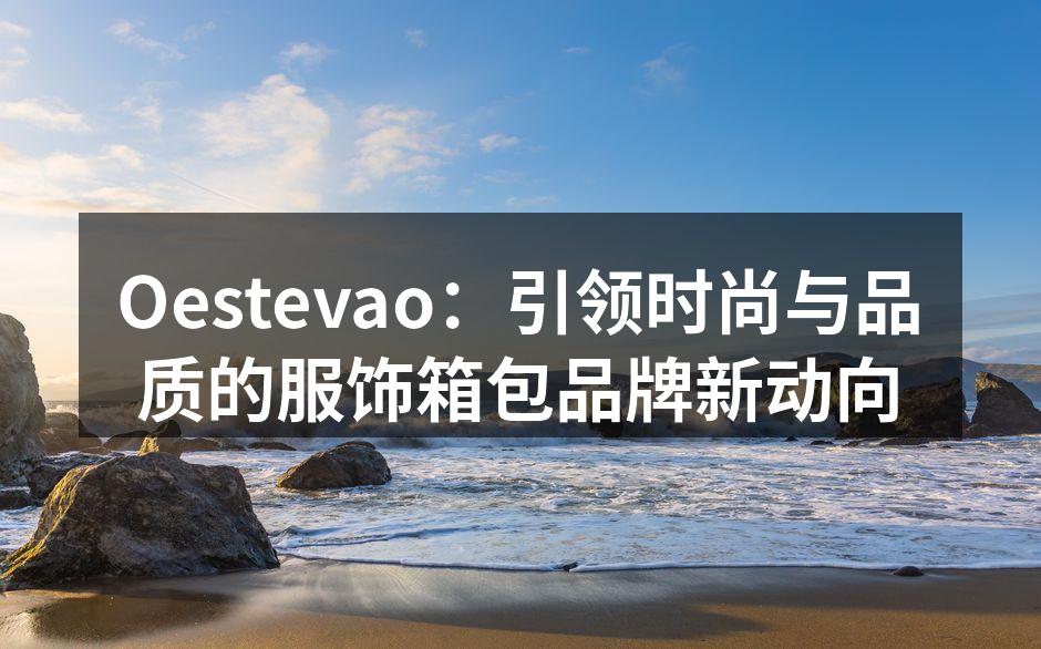 Oestevao：引领时尚与品质的服饰箱